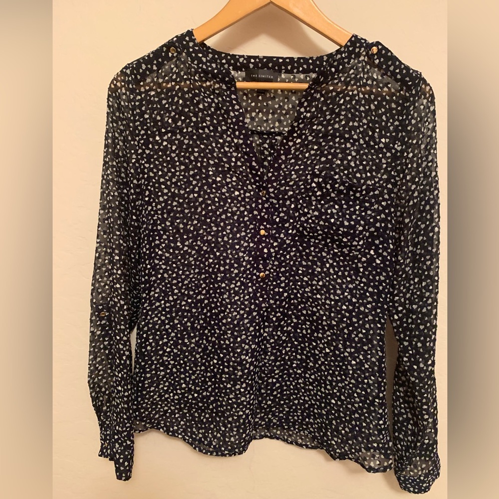 The Limited Sheer Long Sleeve Blouse Size Small